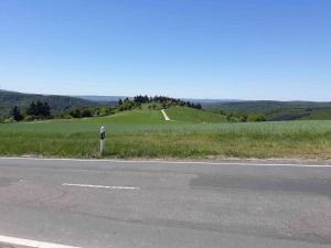 Rheingau-4.thumb.jpg.a62878f4d57324b97a54fc7be7744e40.jpg