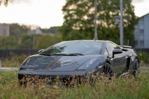 RobinGaunt.ch-27. August 201810.jpg