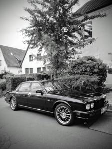 WhatsApp Image 2018-10-20 at 18.31.28.jpeg