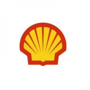 shell.thumb.jpg.765299f13978ca0bfd03db6950874bf5.jpg