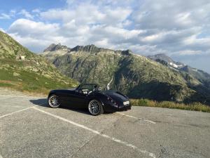 Grimsel 2015-07-19 Gross.JPG