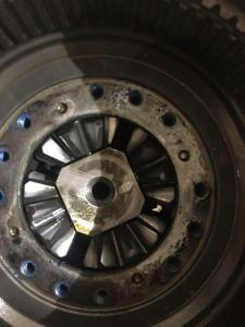 WhatsApp Image 2017-02-23 at 14.57.20.jpeg