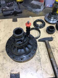 WhatsApp Image 2017-02-23 at 14.57.23.jpeg