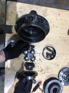 WhatsApp Image 2017-02-23 at 14.57.24.jpeg