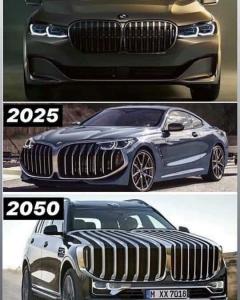 BMW Grill.JPG