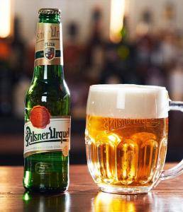 moodbild-pilsner-urquell-flasche-glas.jpg