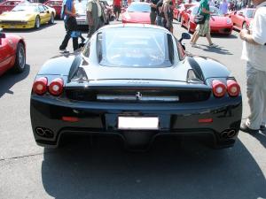Enzo 2.jpg
