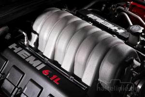 Hemi1pjc.thumb.jpg.35c66f762f5cd3c1ab1599ec02320706.jpg