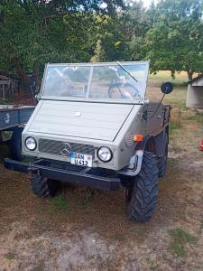 unimog_grau.jpg