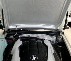 neue Gasdruckdämpfer.JPG