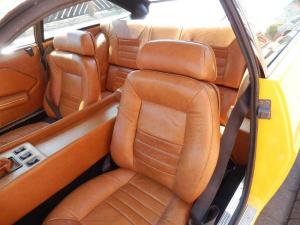 Jarama giallo-005.JPG