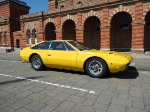 Jarama giallo-002.JPG