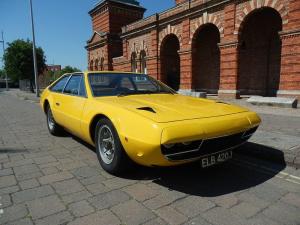 Jarama giallo-001.JPG