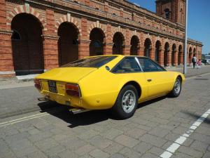 Jarama giallo-003.JPG