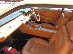 Jarama giallo-004.JPG