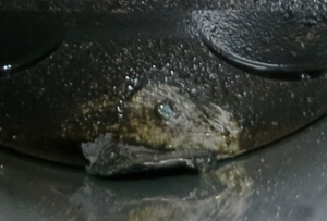 2016-07-22 Motorschaden Corpus Delicti im Zylinderraum.png