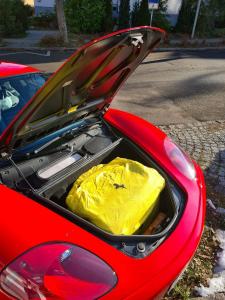 WhatsApp Image 2021-01-10 at 13.22.19.jpeg