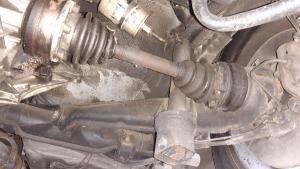 WhatsApp Image 2021-03-14 at 16.08.21 (1).jpeg