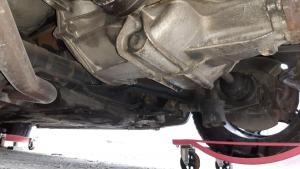 WhatsApp Image 2021-03-14 at 16.08.21.jpeg