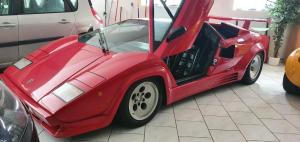 Countach ROTEC aussen (7).jpg