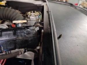 Fotos 16.19.21 130.jpg