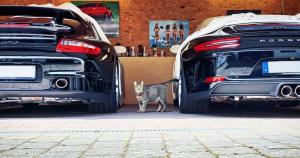 IMG-20180825-WA0002 (1).jpg