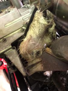 WhatsApp Image 2022-04-28 at 12.03.32 (12).jpeg