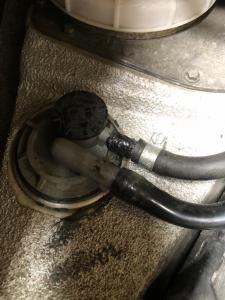 WhatsApp Image 2022-04-28 at 19.11.10.jpeg