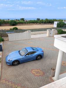 IMG_20220608_175944 b.jpg