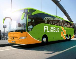grün flixbus-city-hub.jpeg