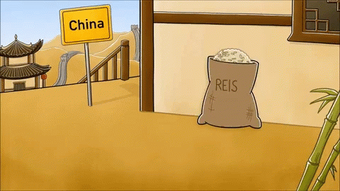 reis-sack.thumb.gif.6b5f77e366983cc585e00ba020d885c2.gif