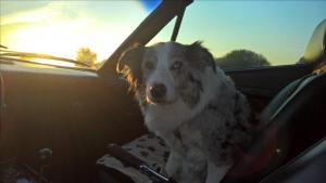 Lyraim 308abends3.jpg