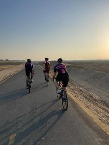 Foto 15.11.22, 07 18 58.jpg