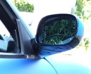 IMG_20230605_132204 (2).jpg