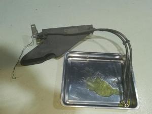 2021-10-31-18h37m09 .jpg