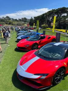 WhatsApp Image 2023-08-20 at 18.37.24.jpeg