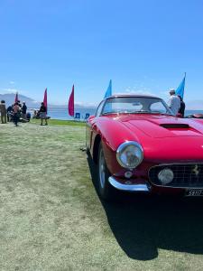 WhatsApp Image 2023-08-20 at 18.38.29.jpeg