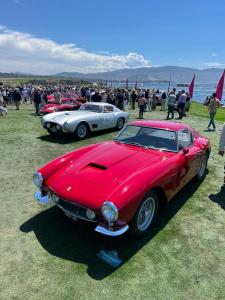 WhatsApp Image 2023-08-20 at 18.38.31.jpeg