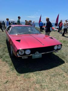 WhatsApp Image 2023-08-20 at 18.42.46.jpeg