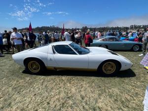 WhatsApp Image 2023-08-20 at 18.42.50.jpeg