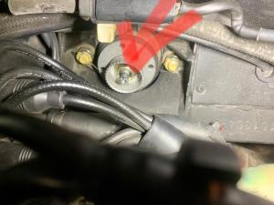 WhatsApp Bild 2023-09-26 um 12.12.39.jpg