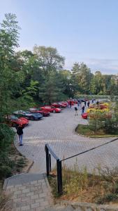 3389hq7xjemaw96kyqysoyg6edudku8d - Kopie.jpg