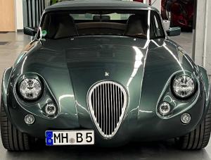 Wiesmann“es werde Licht“.jpg