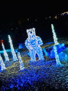 WhatsApp Bild 2024-01-02 um 20.36.57_161fbc63.jpg