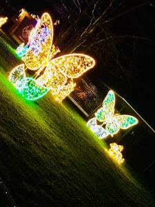 WhatsApp Bild 2024-01-02 um 20.36.57_1d2e9537.jpg