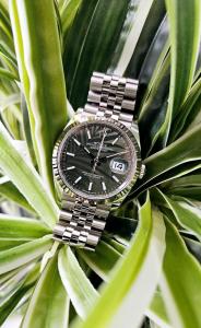 20240316_033229 (1).jpg