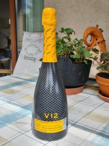 Lamborghini_Spumante_Brut_Vino_Sleever_V12-02.thumb.jpg.f3084f9995053b461be44cc310fafd84.jpg