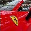 Andy296GTS