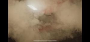 WhatsApp Image 2025-07-31 at 15.23.39 (2).jpeg