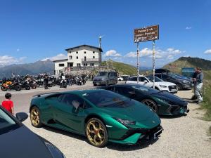 Grüne ohne Kennz.jpg